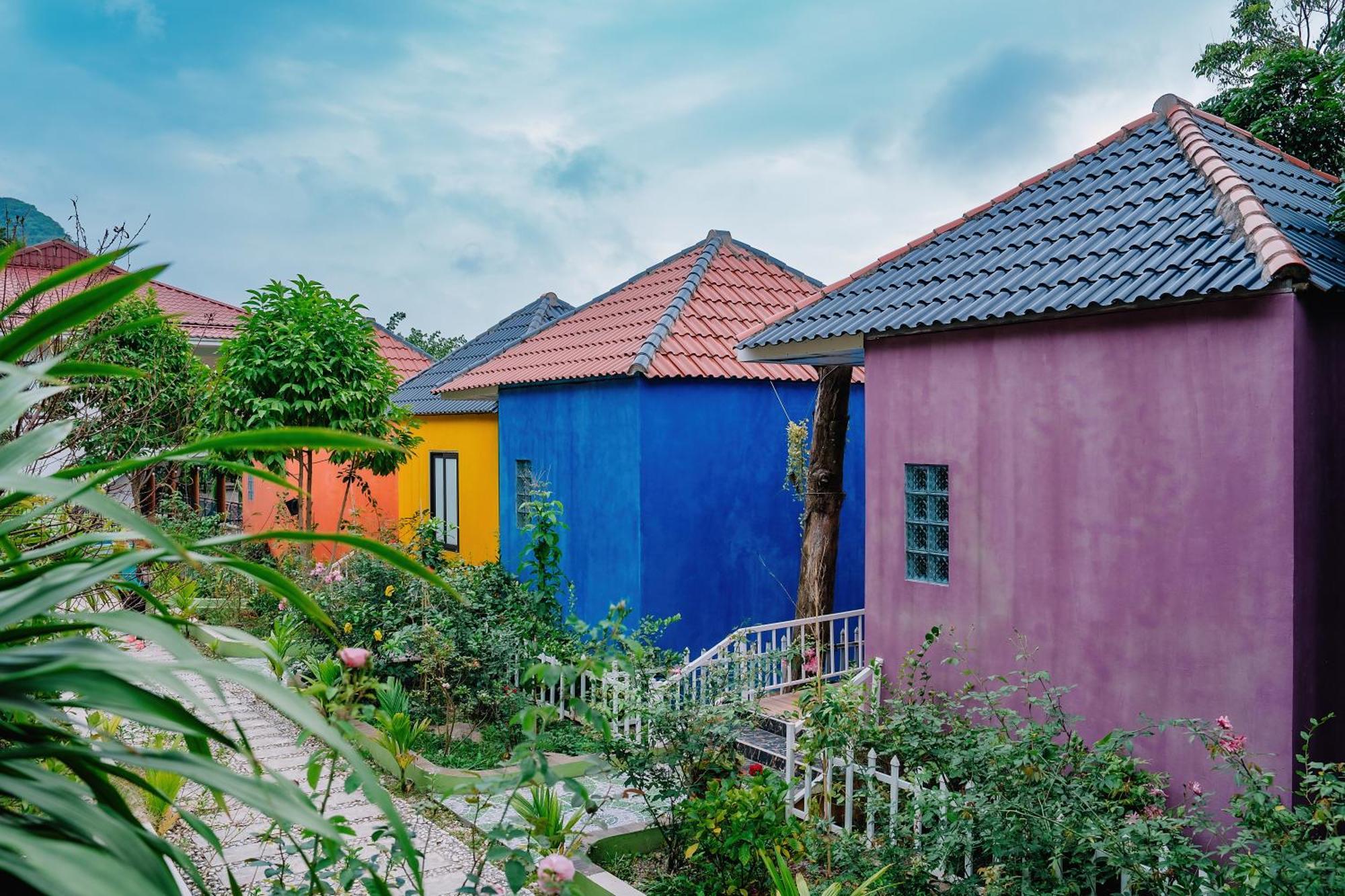 Windy Homestay Cat Ba Island Dış mekan fotoğraf