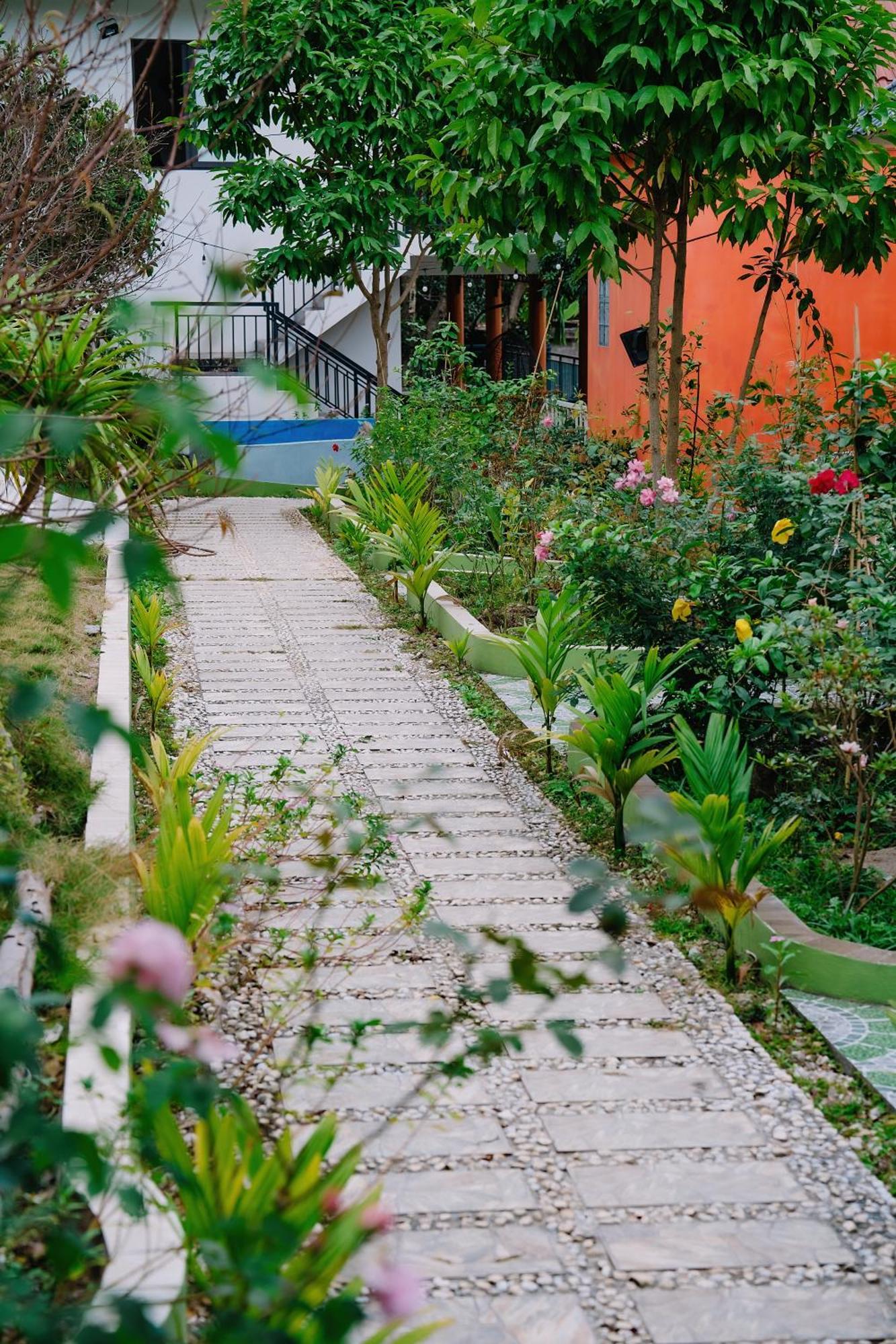Windy Homestay Cat Ba Island Dış mekan fotoğraf